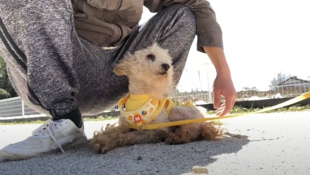 かわいいしぐさで寄り添っています