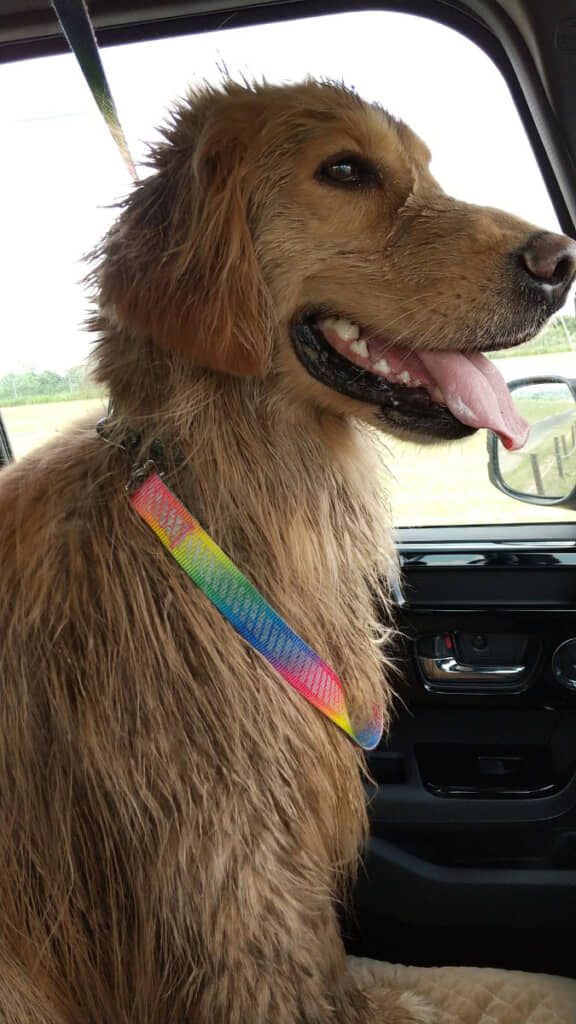 楽しかったね！