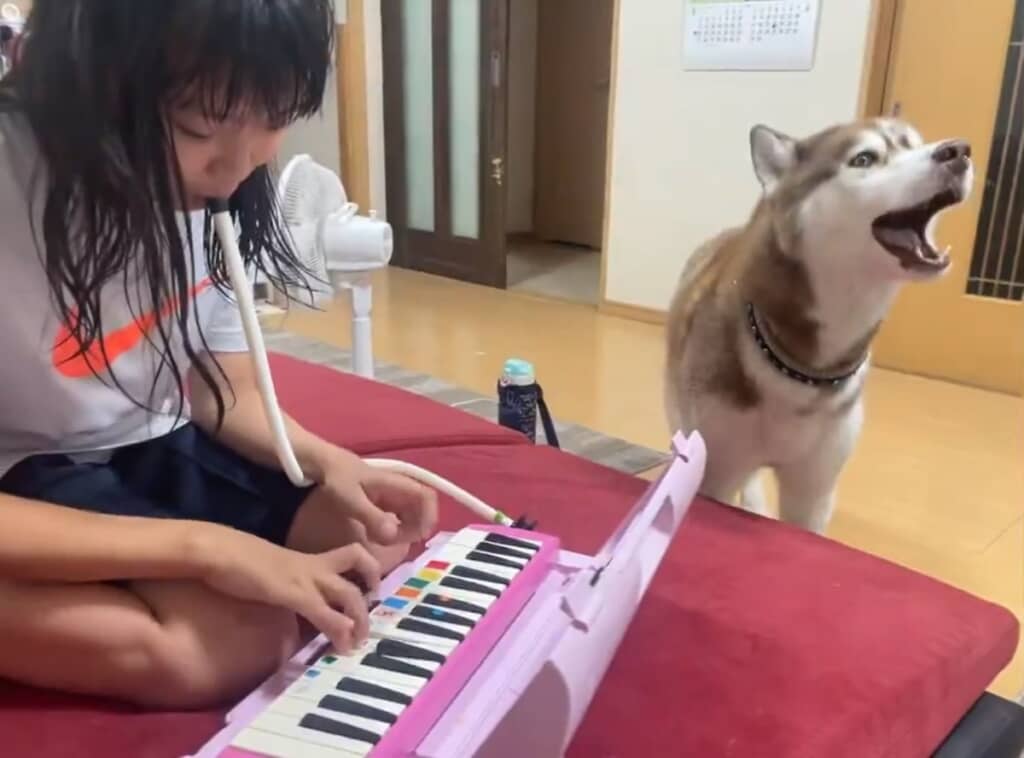 娘さんの隣にやってきたモヒートくん