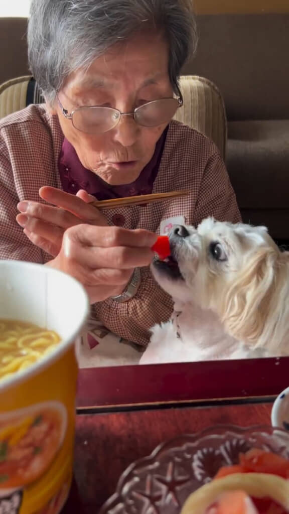 トマトを食べさせてもらうくうくん