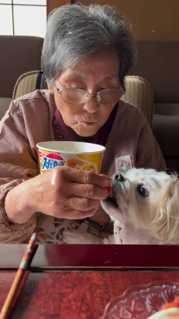 くうくんもトマトをもぐもぐ