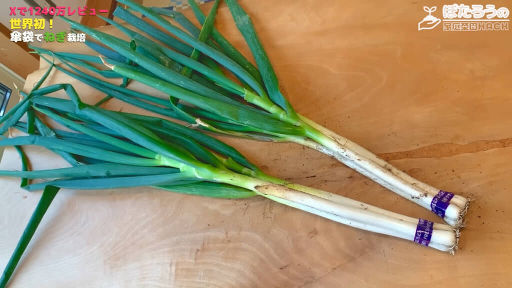 テープを巻いてみると……完全に売り物の見た目です