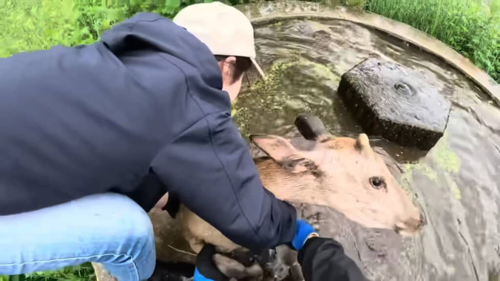 やむを得ず最後の手段