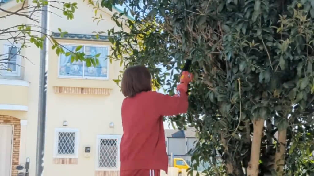 手前からどんどん枝をチェーンソーで切っていく