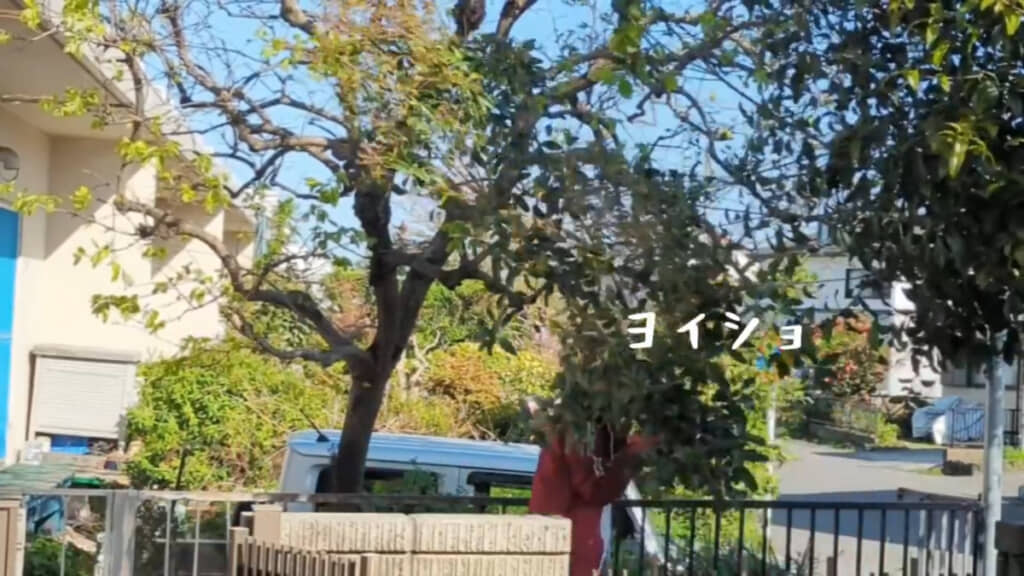 落ちた枝を運ぶ作業も1人だと大変です