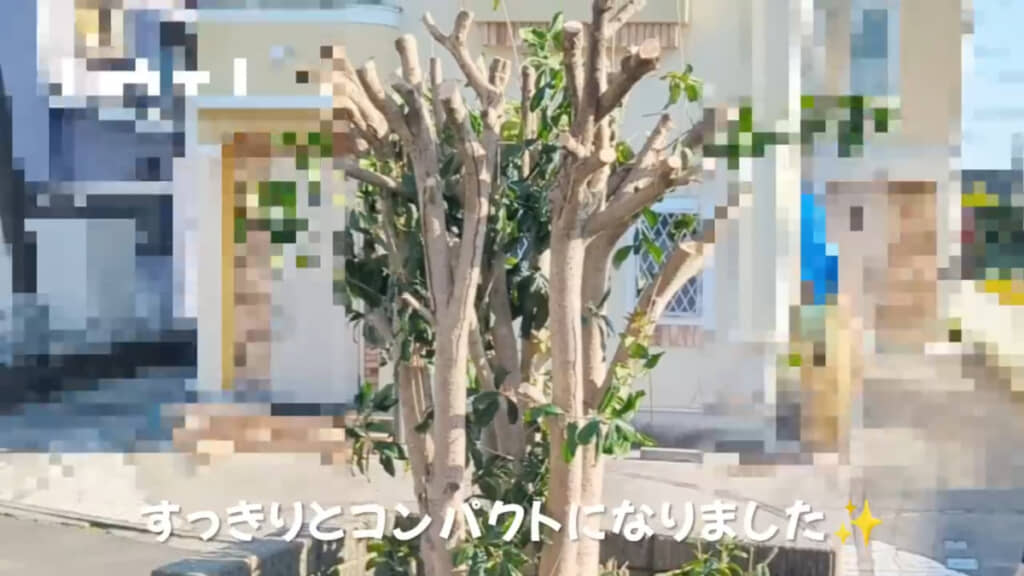 1日でこんなにスッキリ！