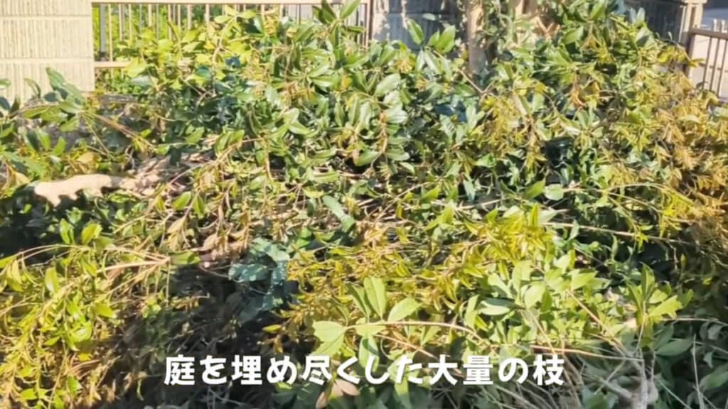 カット直後の様子。枝が大量だ……！