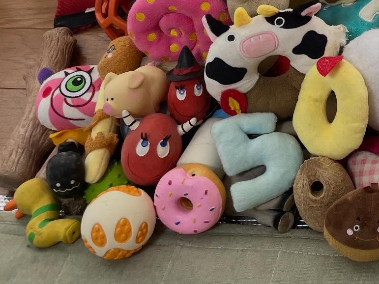 複数のぬいぐるみが並んでいる様子