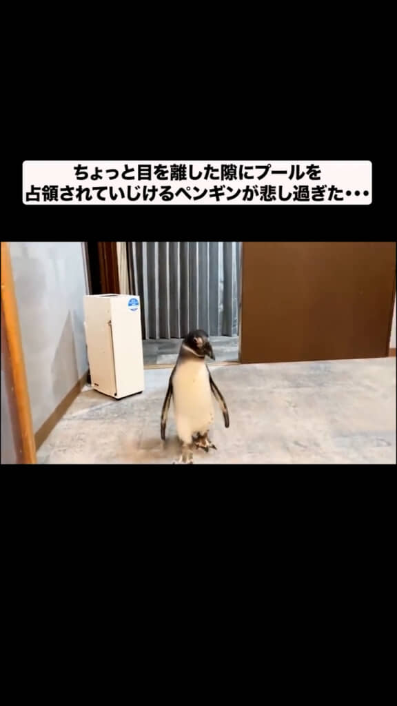 視線の先には……