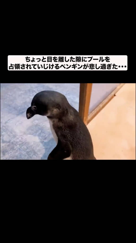 落ち込むタンクくん