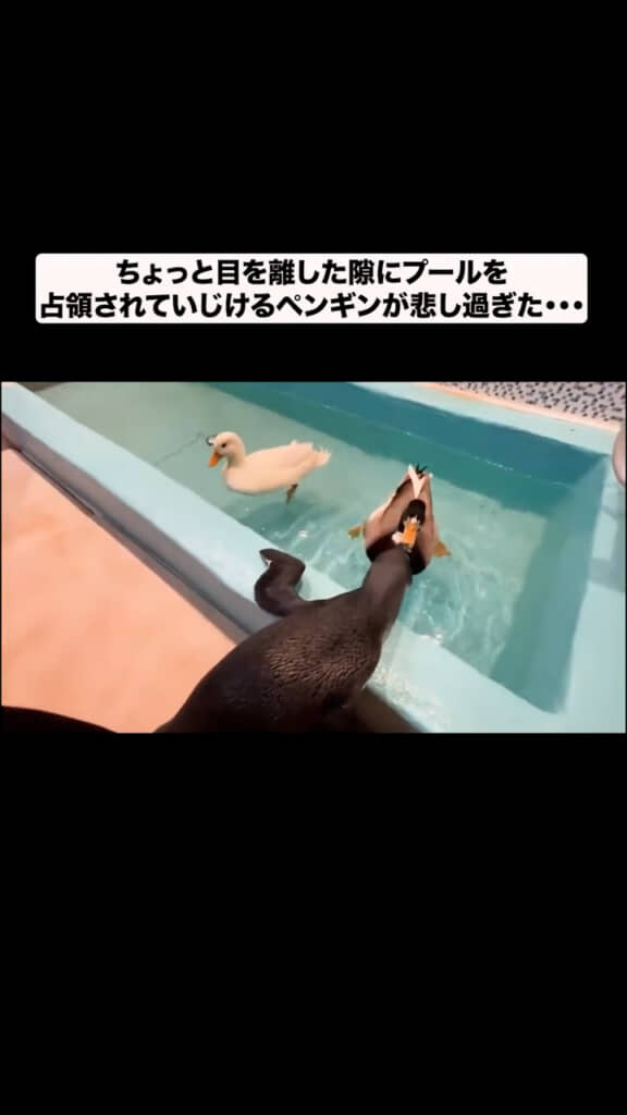 歩み寄ってみる