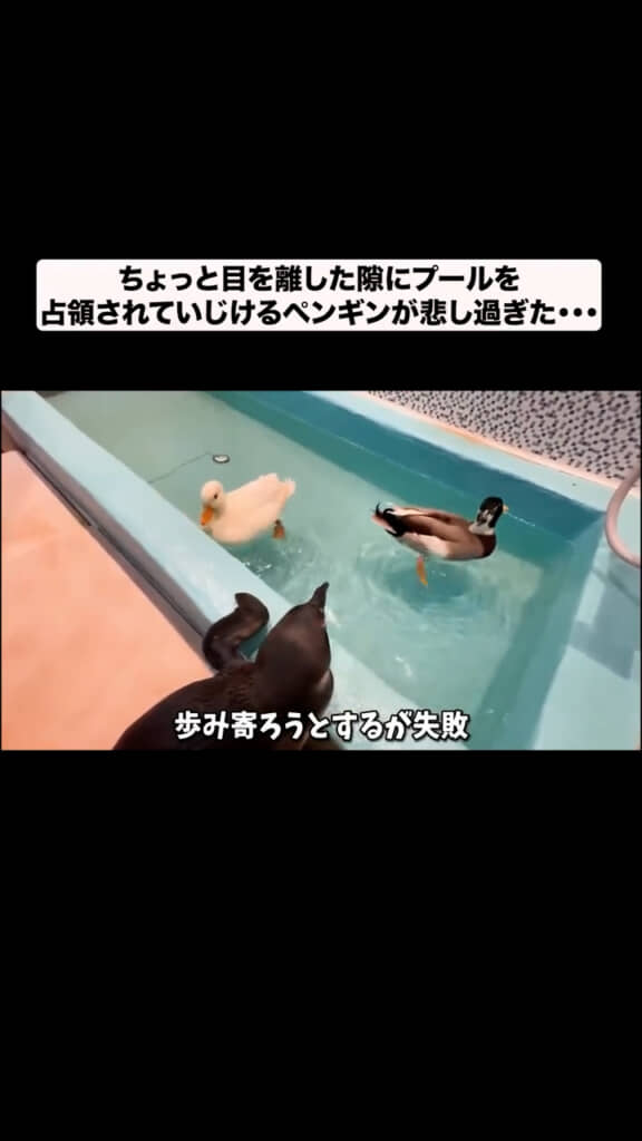 そっぽを向かれちゃった