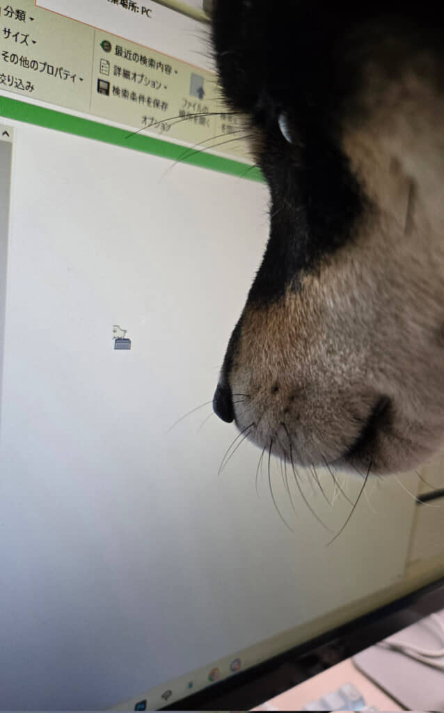 マウスカーソルを見つめる犬