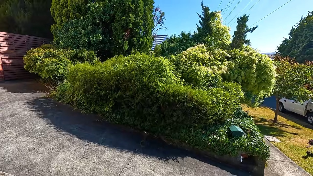 手入れをサボりジャングル化した庭 → プロが6時間半かけて掃除したら……　“草の下から現れたもの”に「どうなってるの」「言葉が出ない」【海外】（1/2） | 住まい ねとらぼ