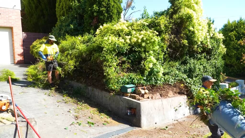 バリカンで長髪を坊主にする勢いでバッサリ。少しずつきれいになる様がクセになりそう