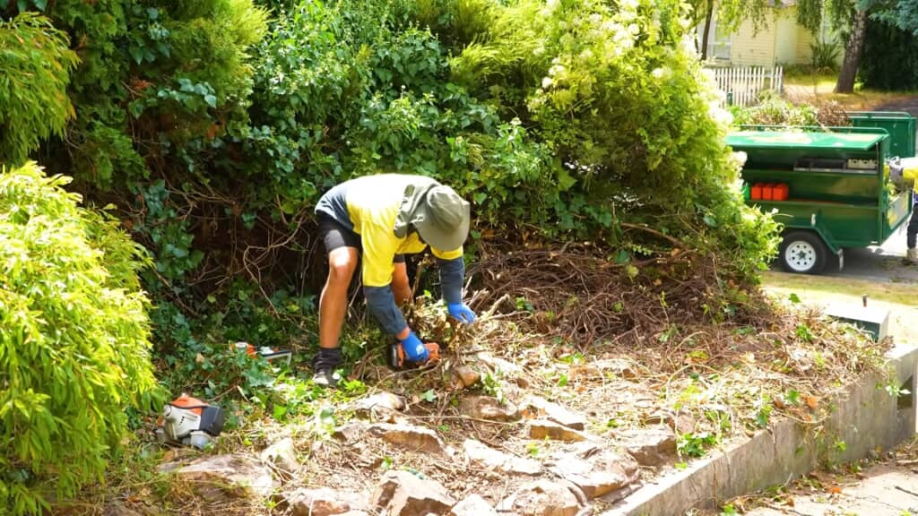 しつこく張った根の処理には往復タイプ。複数の電ノコを駆使して伐採すると、ゴツゴツした地肌が……