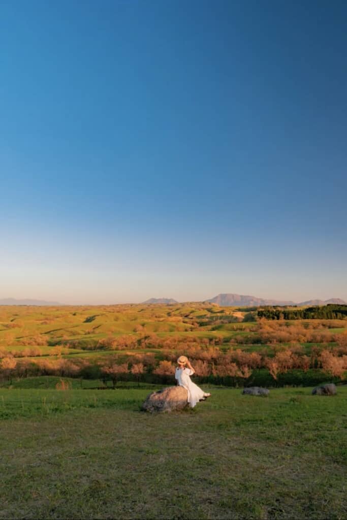 Araiさんが撮影したsakoさんの写真