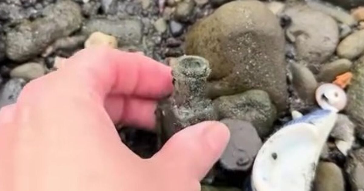 海で見つけた怪しげな小瓶→洗うと……　まさかの正体に「鳥肌」「お宝の域を超えてます」と360万再生 | ライフスタイル ねとらぼ