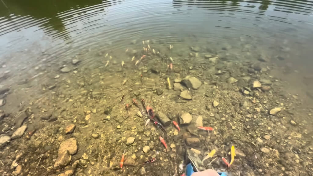 みんな元気に育ちますように