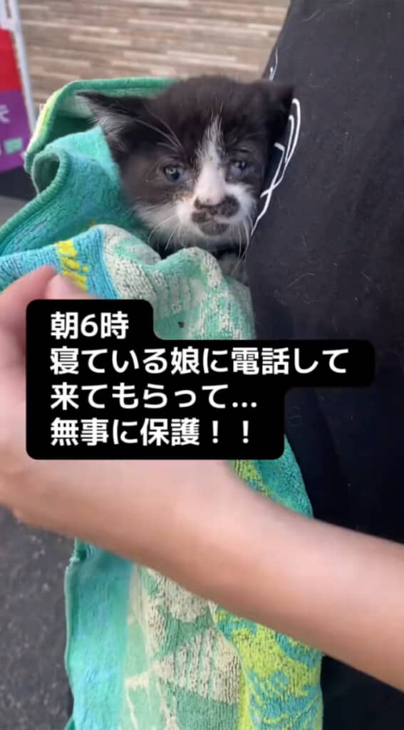 駆けつけてくれた娘さんと一緒に子猫を無事に救出