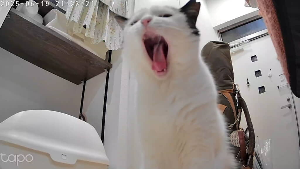 チェック完了！