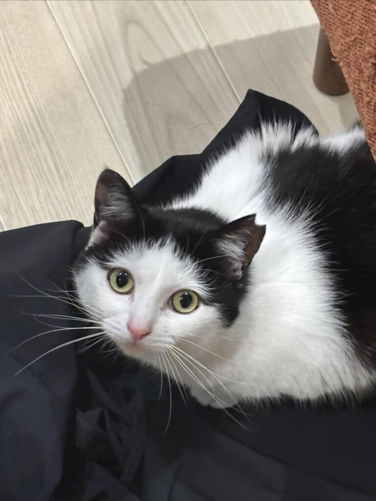 くっきりアイラインがビューティフル