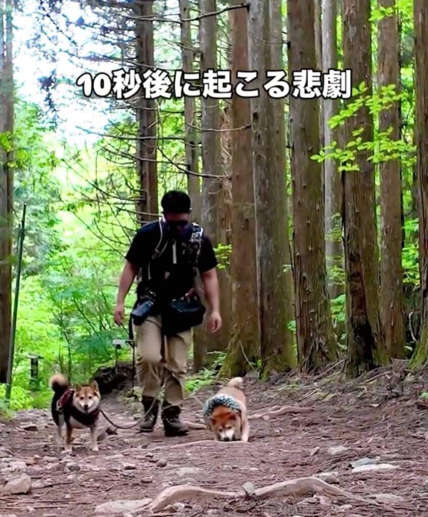 あるものに気づいて駆け寄るたけちよくん
