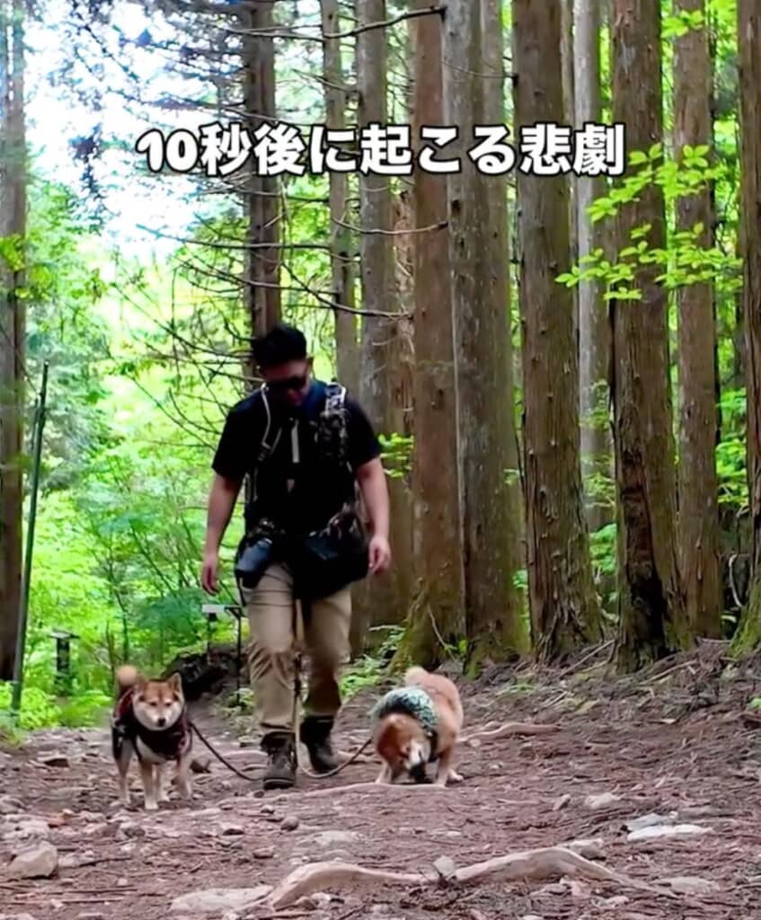 たけちよくんはあるものをくわえて振り回しています