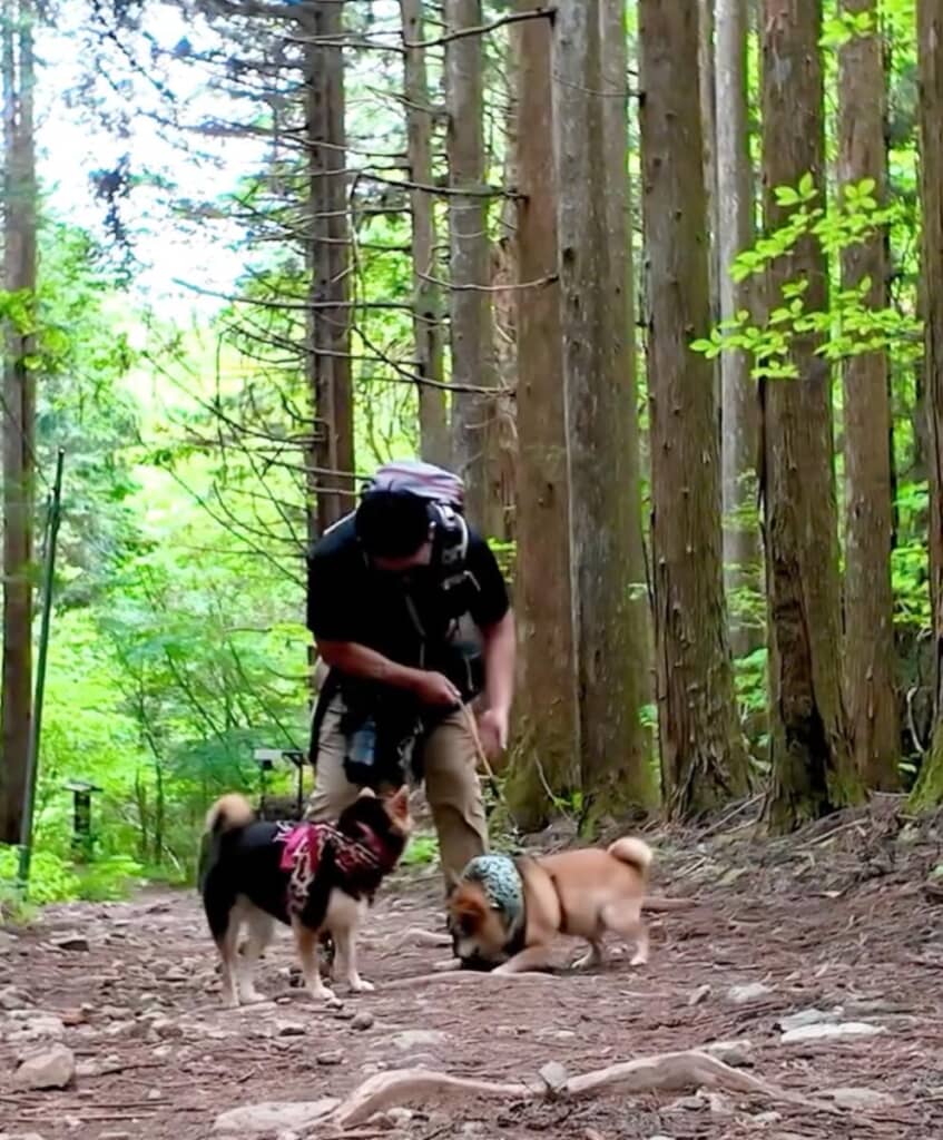 異変に気づいた飼い主さん