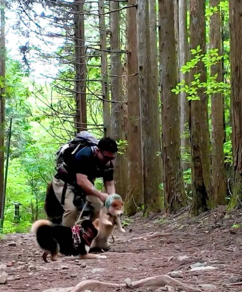 何かが飛び出ました