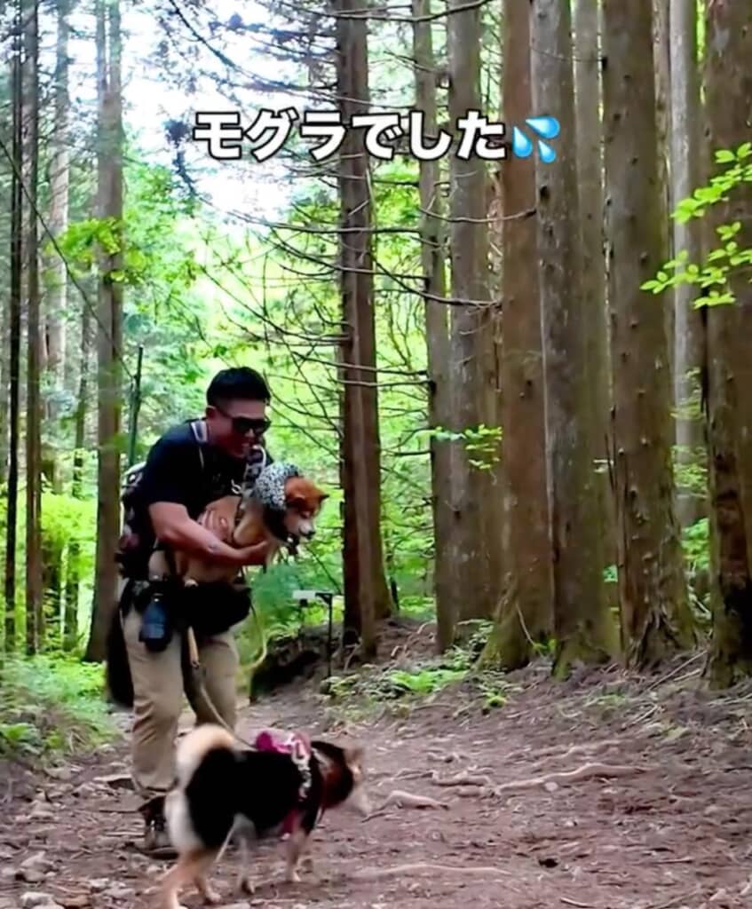 まさかのモグラの死骸でした