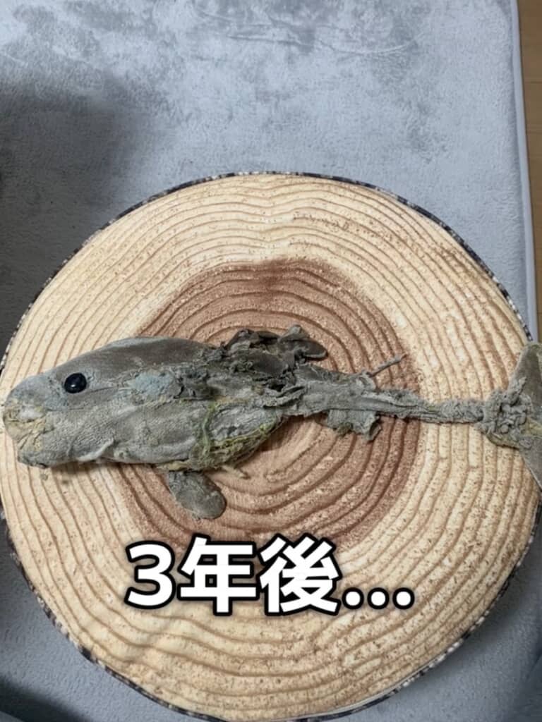 そして現在は……