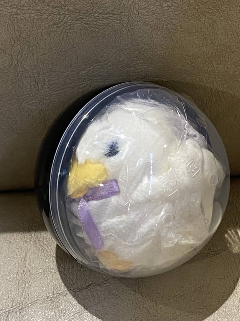 カプセルに入ったあひるの赤ちゃん