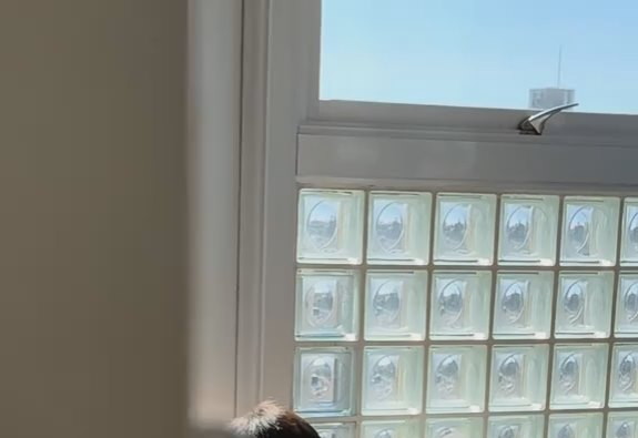 リビングへ行ったら……