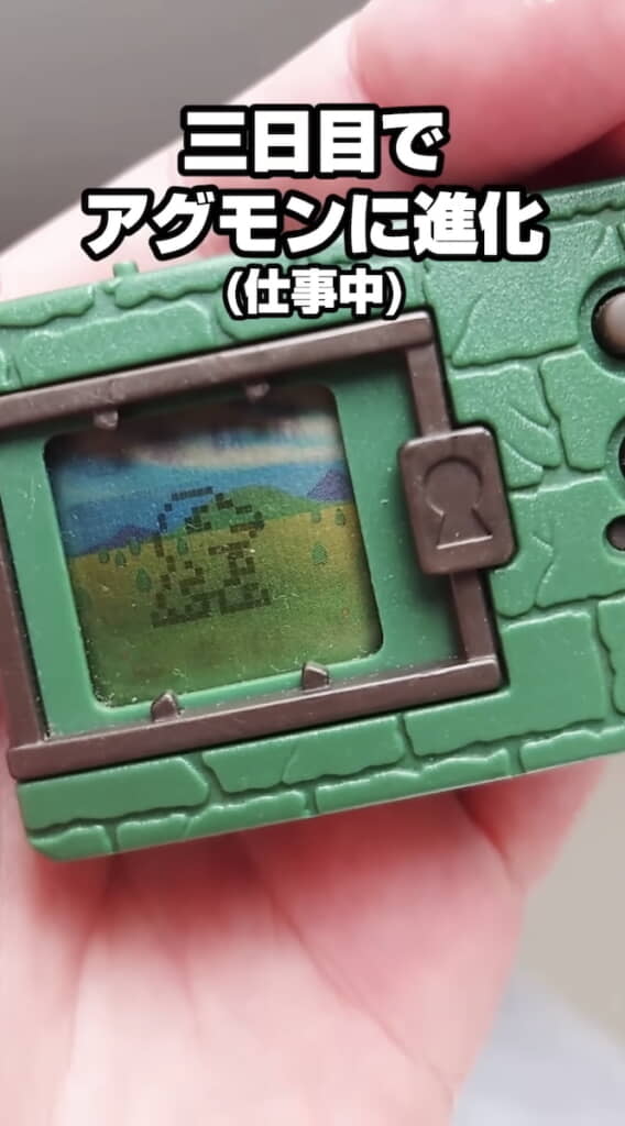 管理番号❀M057◻️⊶デジタルモンスター デジモン 初代 育成 戦闘 管理番号❀M057◻️⊶デジタルモンスター デジモン 初代 育成