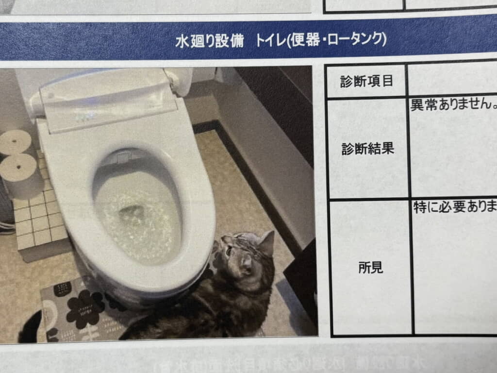 サスケくんが！