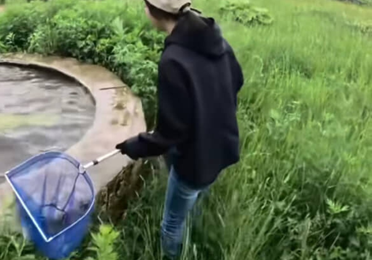 山奥のダム、釣りしようと夫婦で訪れたら……溺れている野生のシカにまさかの遭遇→救出劇に「めちゃかっこいい！」「なかなか出来ない」（2/3） | その他生き物 ねとらぼ