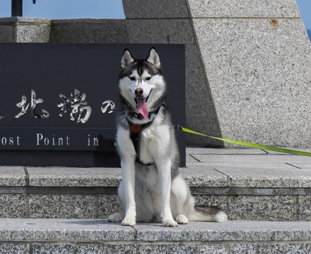 どことなく誇らしげなムイちゃん