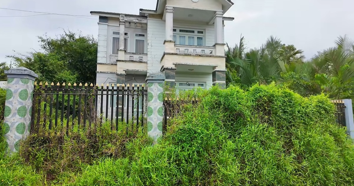 10年間放置され“ジャングル化”した家→プロが本気で掃除したら……　奇跡の大変身に「本当にすごい」【海外】（1/2） | ライフスタイル ねとらぼ