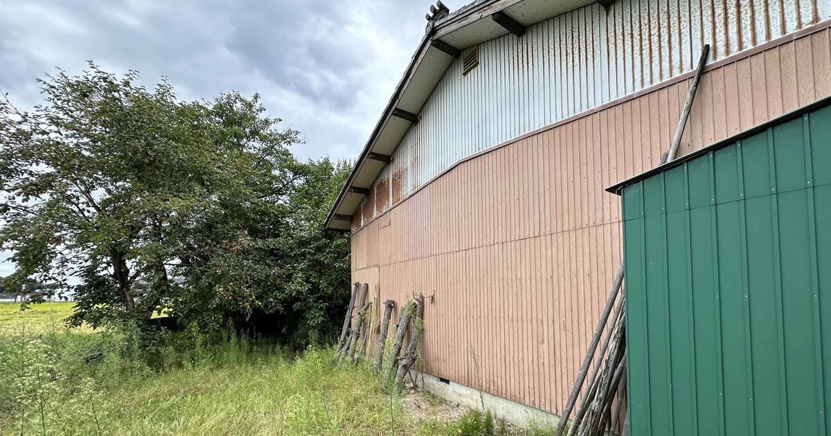 「信じてください」築50年のさびれた空き家、プロが本気でリノベしたら→「そうはならんやろ」　驚きの変化に「思わず二度見した」（1/3） | リフォーム・リノベーション・DIY ねとらぼ