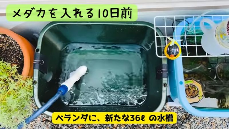 コメリのタライに水を張る様子