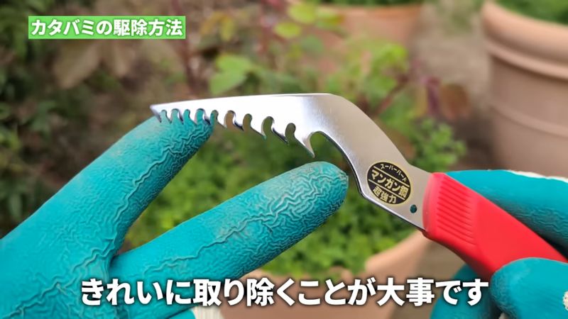 プランターや植木鉢で活躍するギザギザがたくさん付いた道具