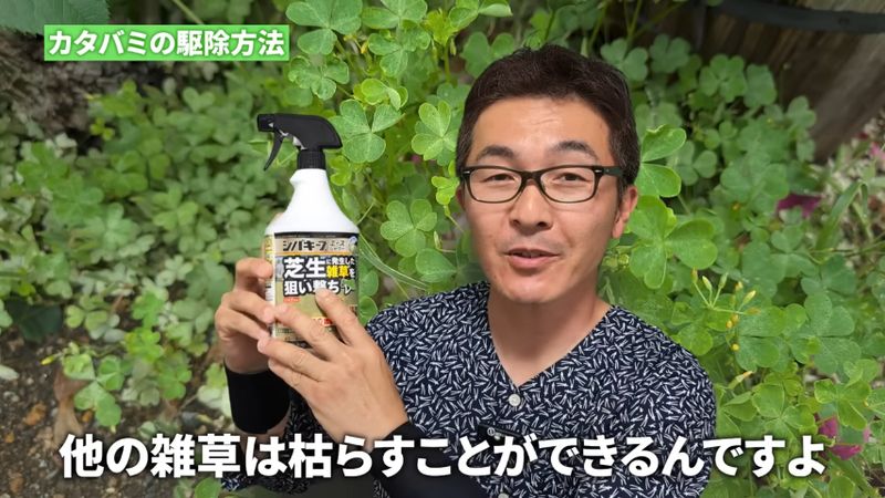 芝生で使える除草剤