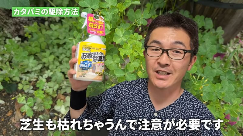 芝も枯らしてしまう除草剤の使い方
