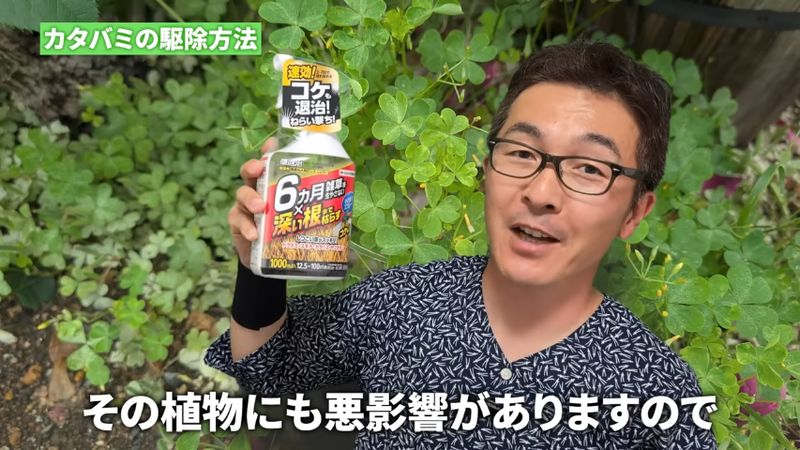 長期間有効成分が働く除草剤の使い方