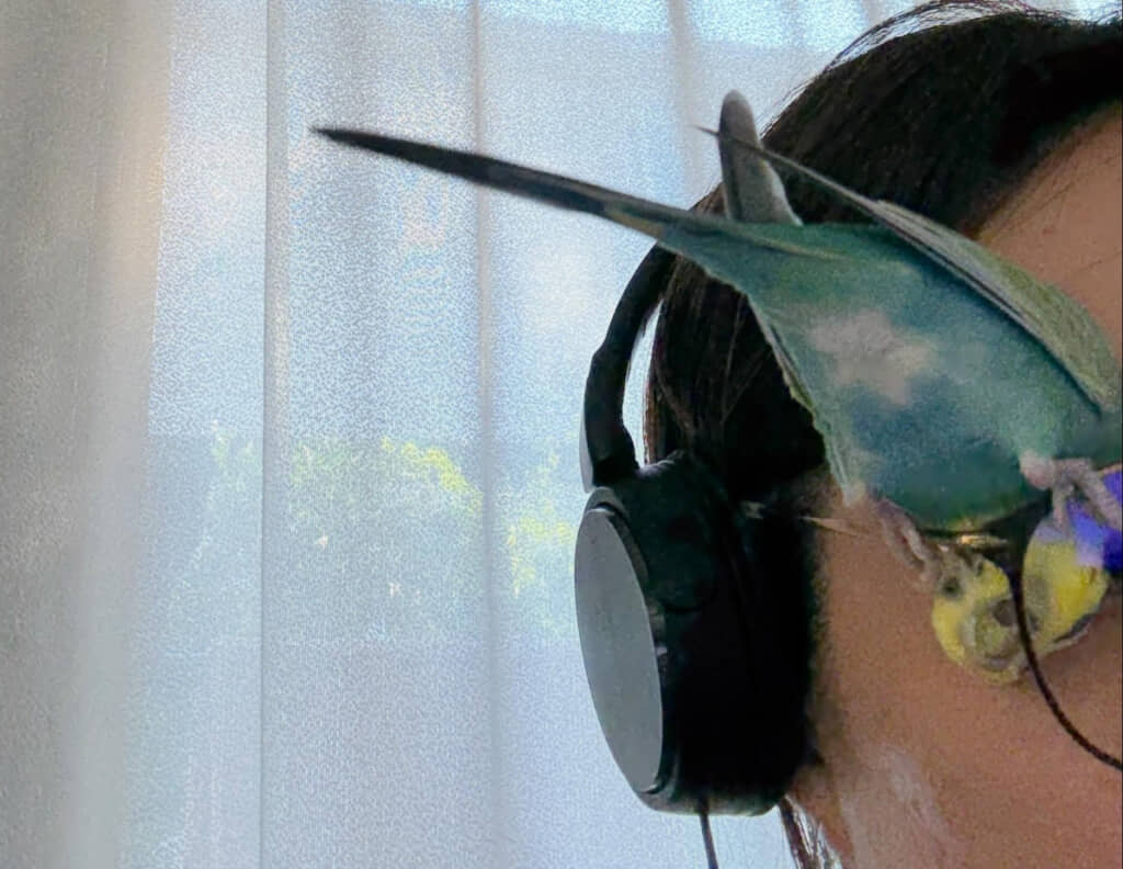 まさかのとまり方に笑っちゃう