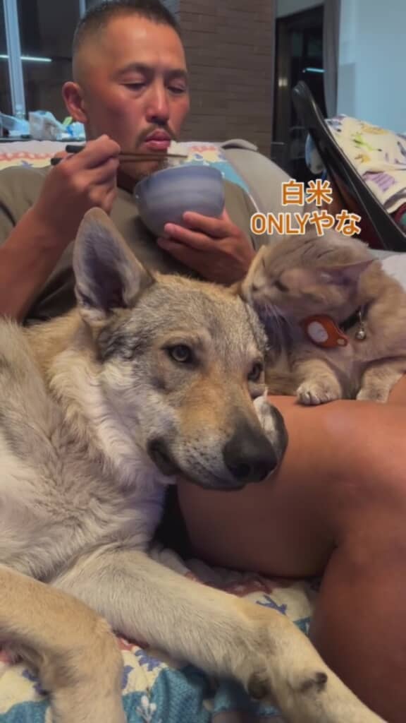 これは白米オンリーで食べるしかない