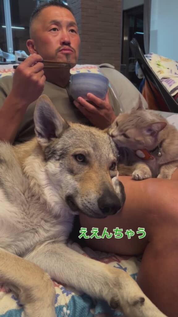 飼い主がいるのを忘れているみたい