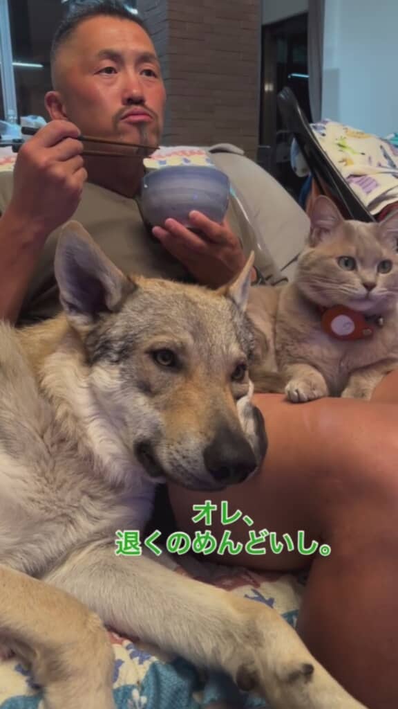 退くのが面倒なだけかもしれません