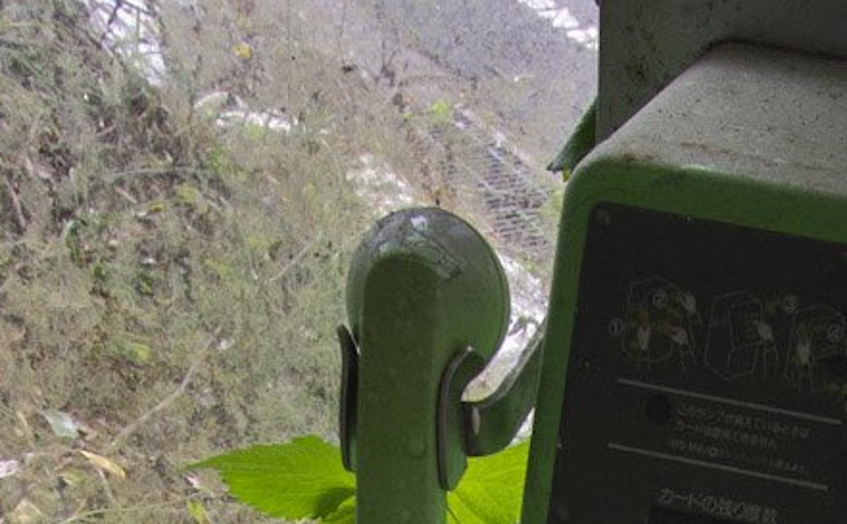 道路脇にポツンとある電話ボックス→うん十年後……　まさかの姿に「使えるんかこれ？」「もはや芸術！」（1/2） | 写真 ねとらぼ